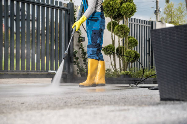 Local Pressure Washing Services in Azalea Park, FL