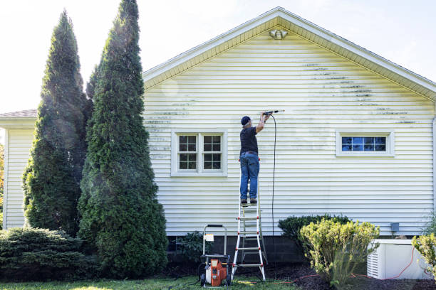 Best Roof Pressure Washing  in Azalea Park, FL