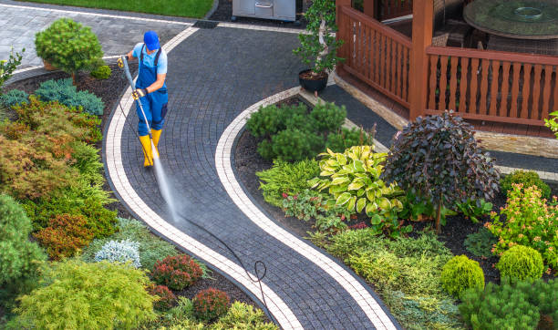 Best Fence Pressure Washing  in Azalea Park, FL