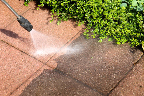 Best Fence Pressure Washing  in Azalea Park, FL